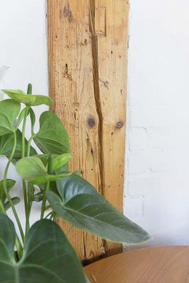 Grundieröl und Fußbodenhartöl